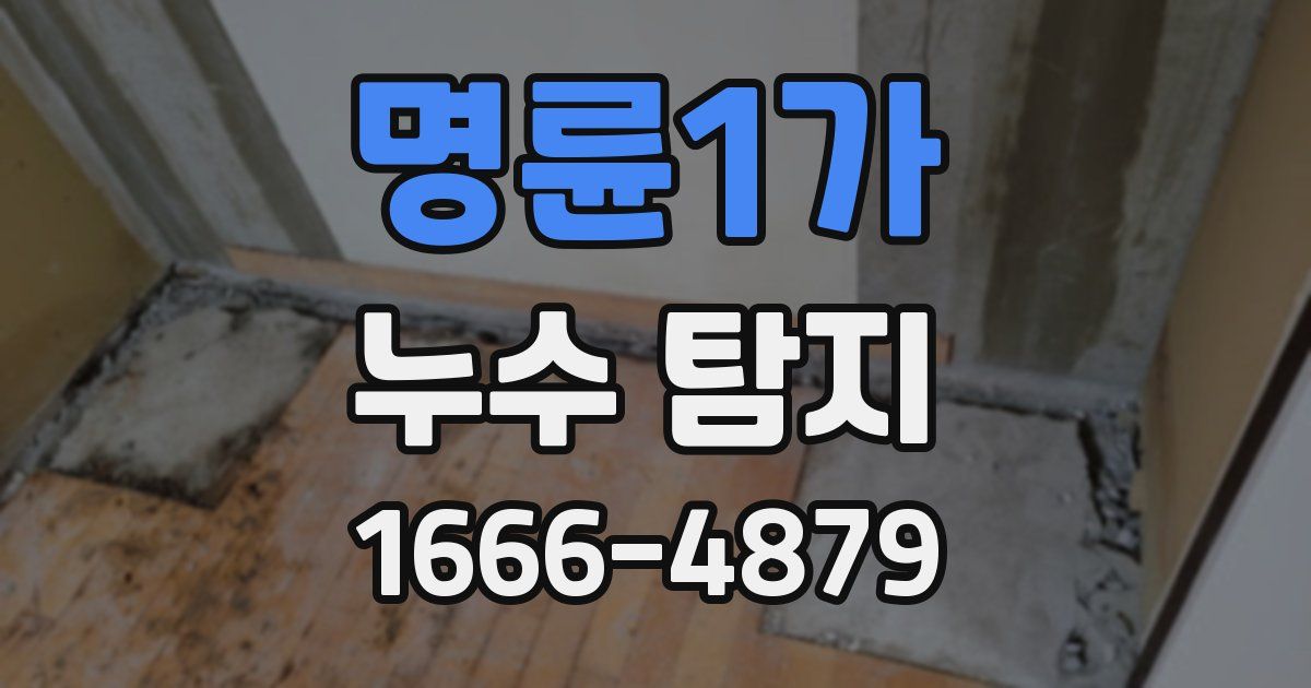 명륜1가 누수 탐지