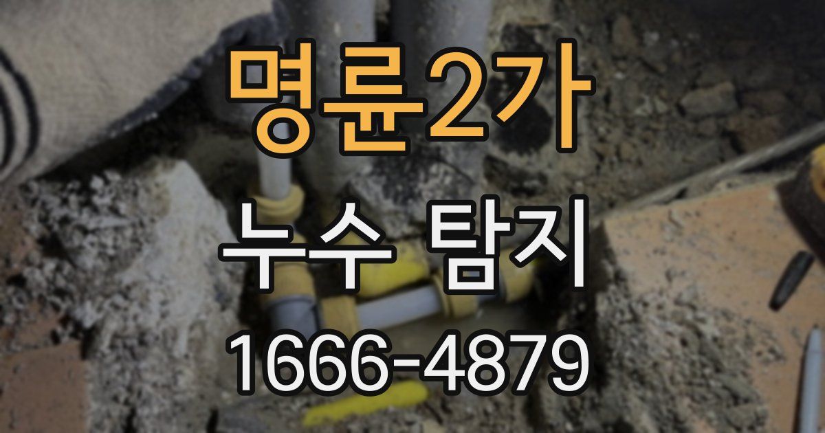 명륜2가 누수 탐지