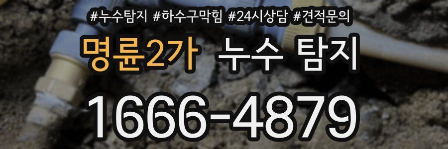 명륜2가 누수 탐지