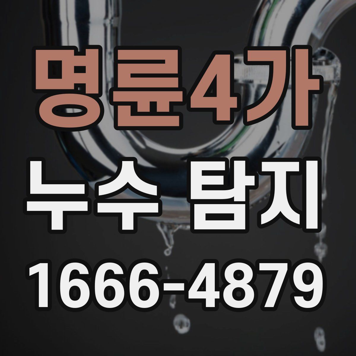 명륜4가 누수 탐지
