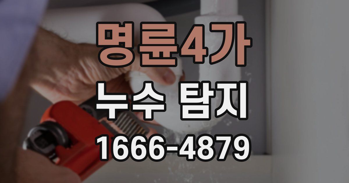 명륜4가 누수 탐지