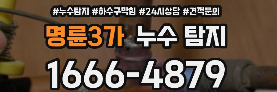 명륜3가 누수 탐지