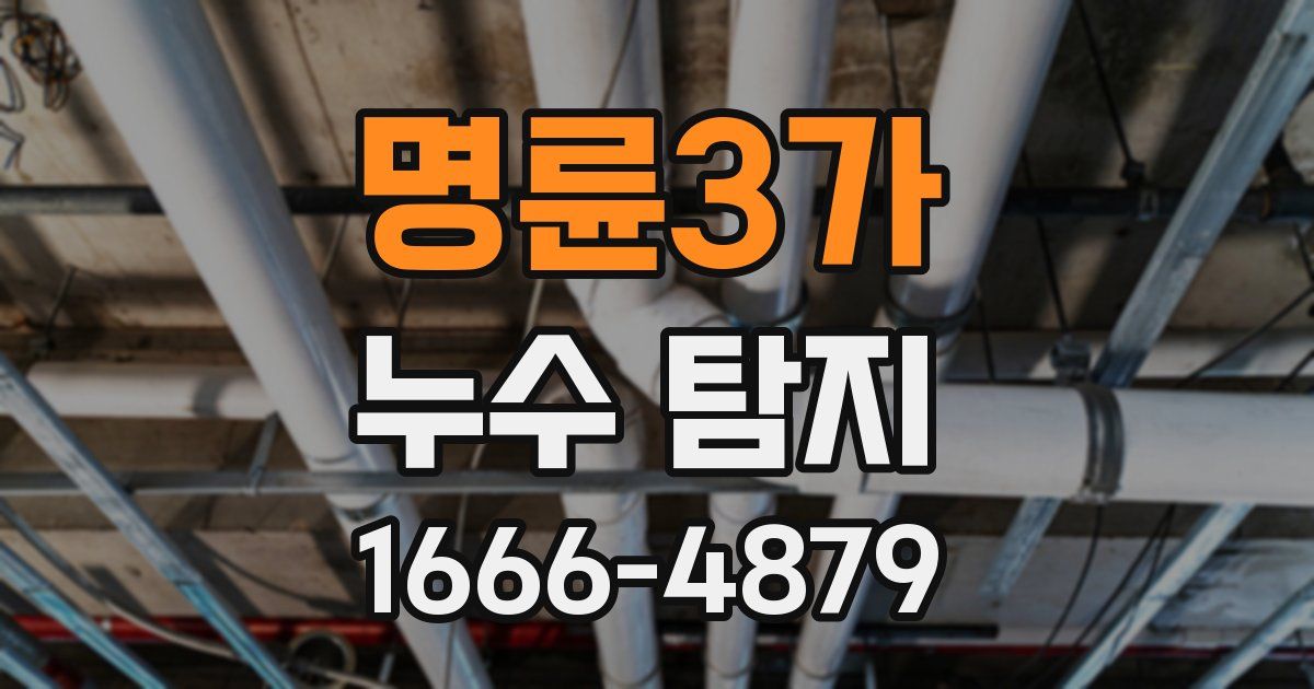 명륜3가 누수 탐지