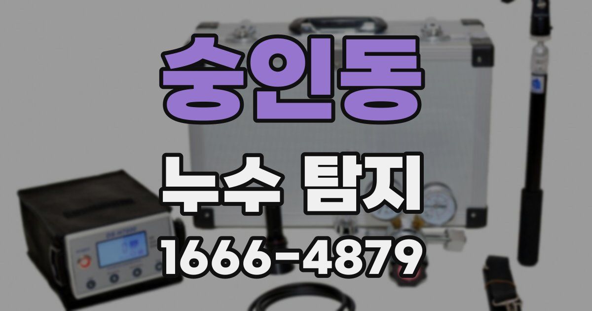 숭인동 누수 탐지