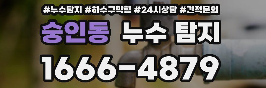 숭인동 누수 탐지