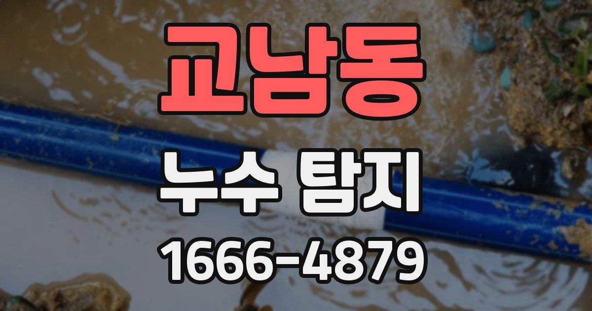 교남동 누수 탐지