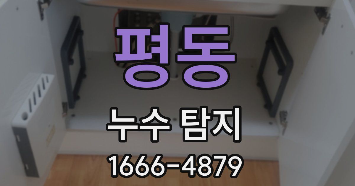 평동 누수 탐지