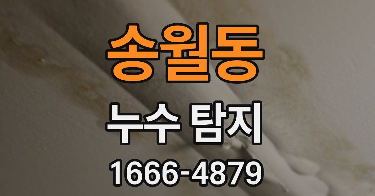 송월동 누수 탐지