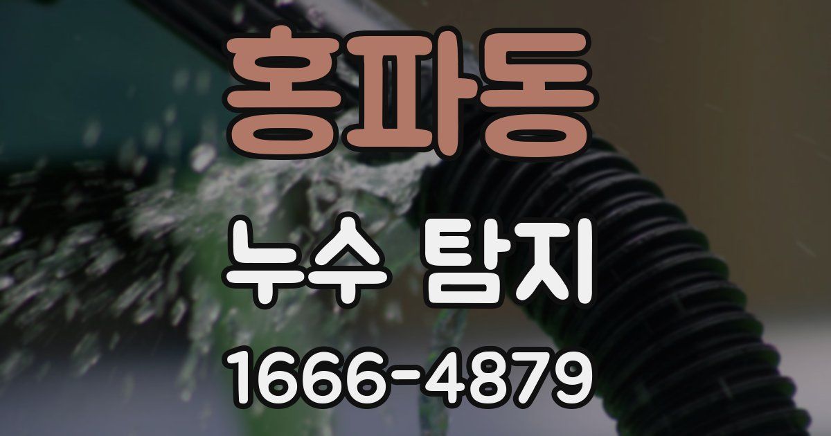 홍파동 누수 탐지