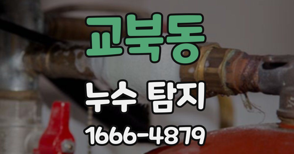 교북동 누수 탐지