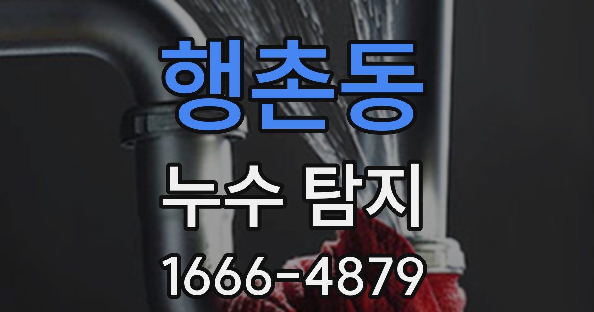행촌동 누수 탐지