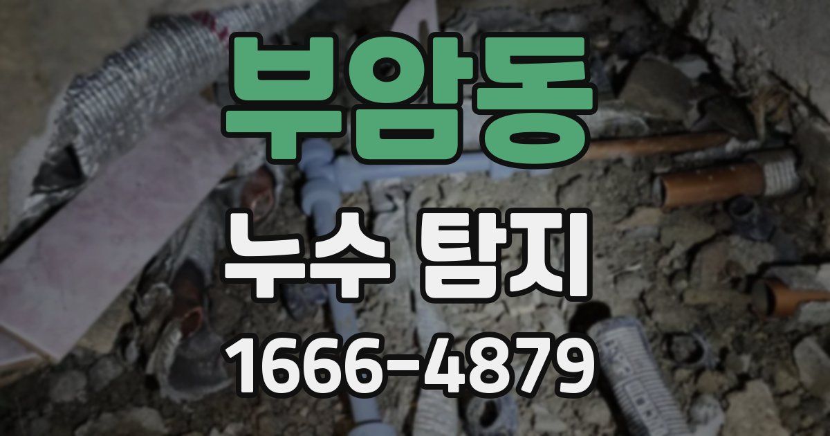 부암동 누수 탐지