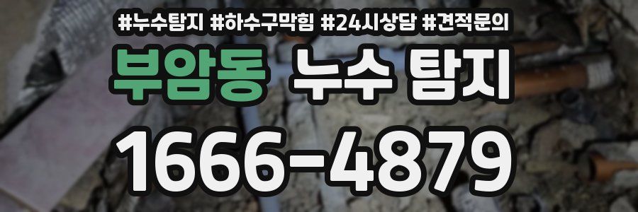 부암동 누수 탐지