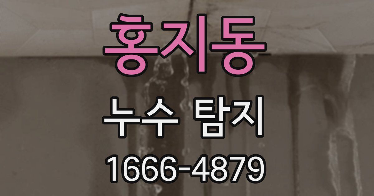홍지동 누수 탐지