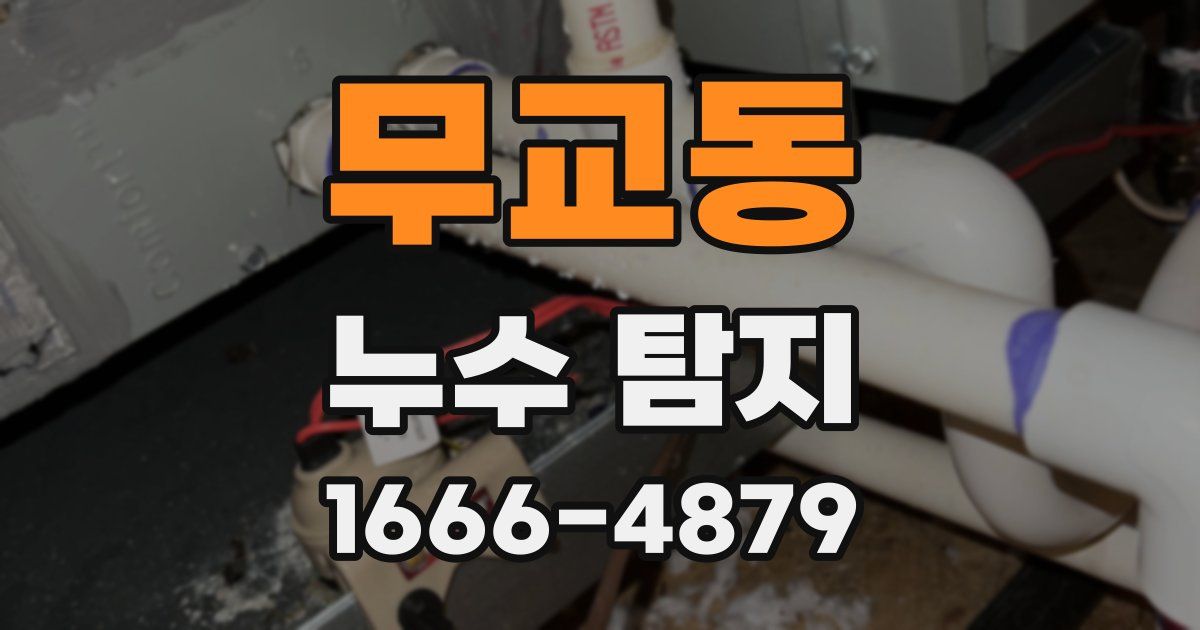 무교동 누수 탐지