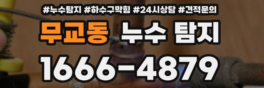 무교동 누수 탐지