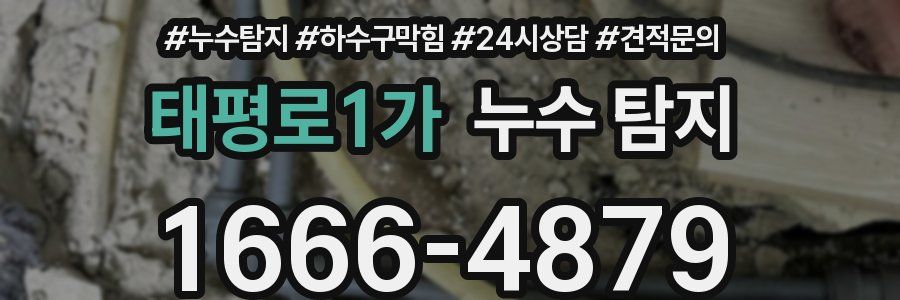 태평로1가 누수 탐지