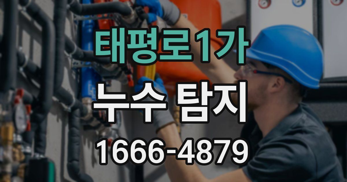 태평로1가 누수 탐지
