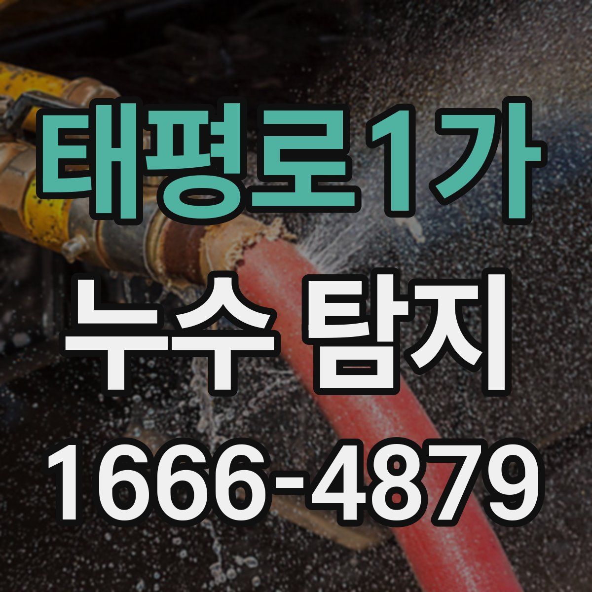 태평로1가 누수 탐지