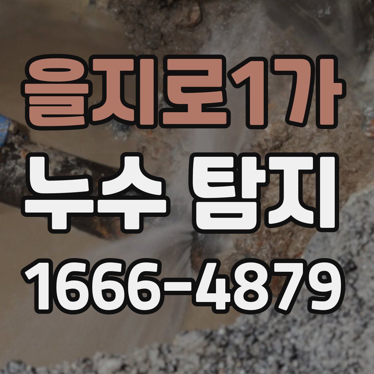 을지로1가 누수 탐지