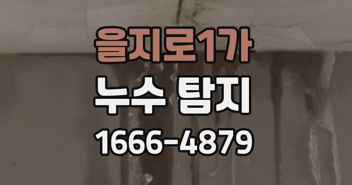 을지로1가 누수 탐지