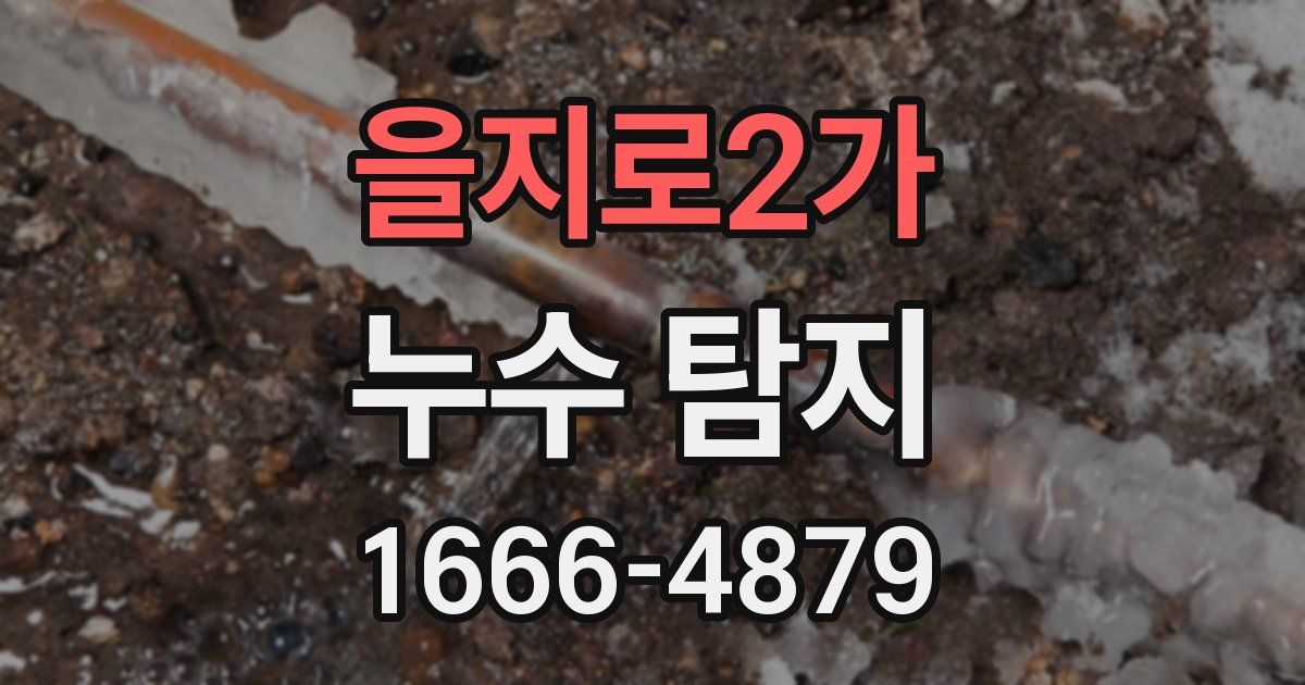 을지로2가 누수 탐지