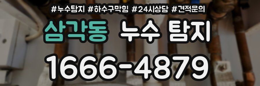 삼각동 누수 탐지