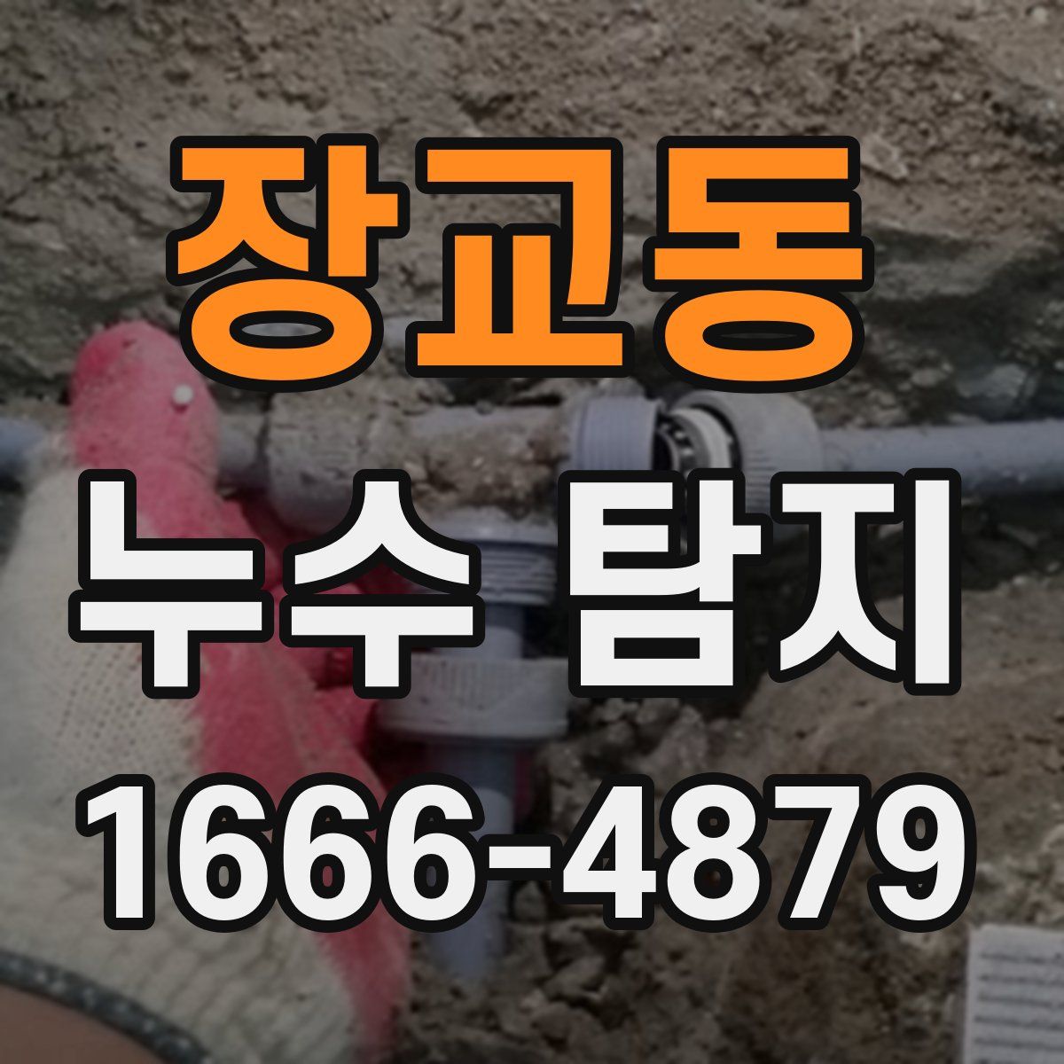 장교동 누수 탐지