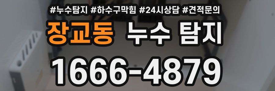장교동 누수 탐지