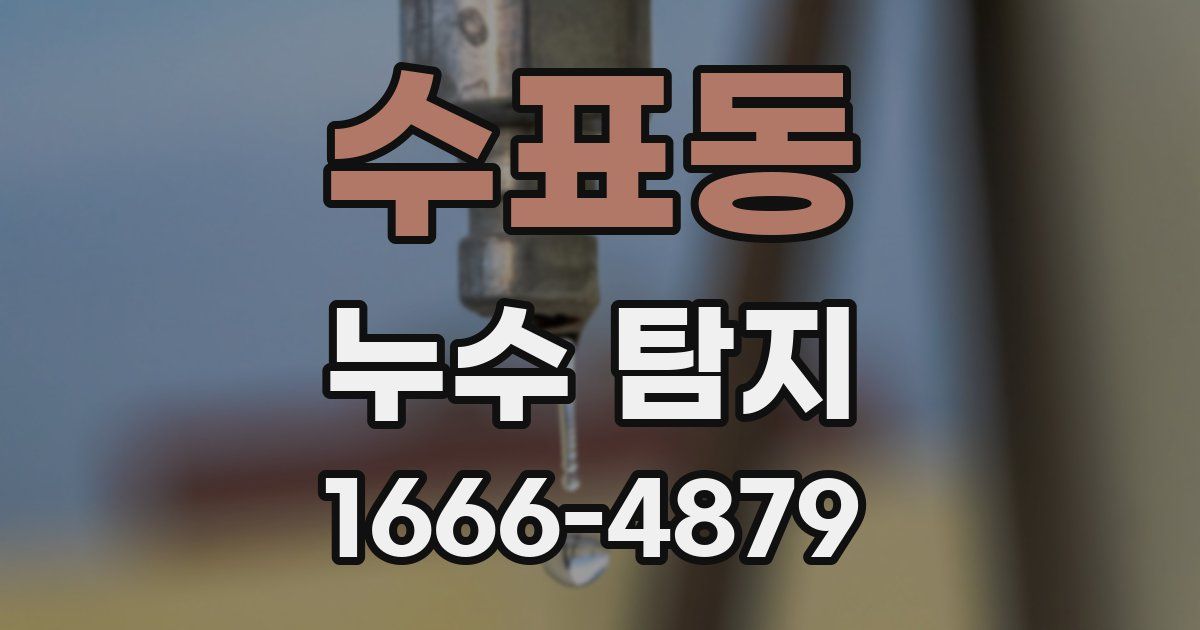 수표동 누수 탐지