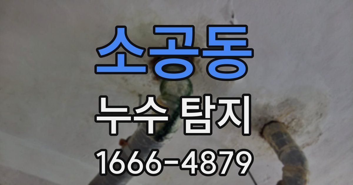 소공동 누수 탐지