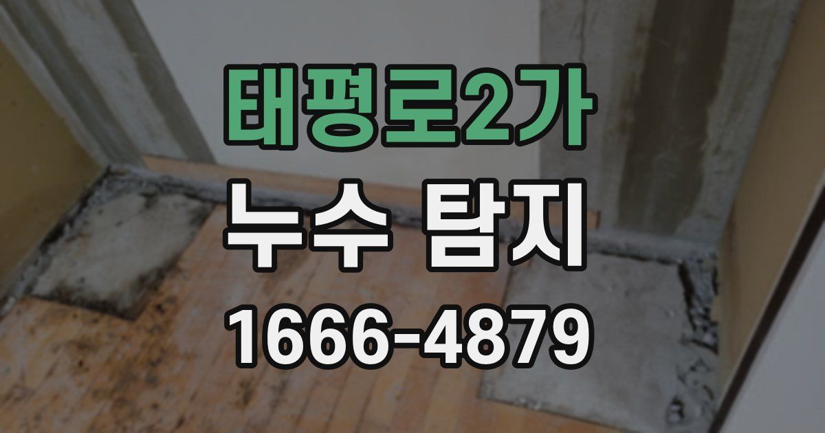태평로2가 누수 탐지