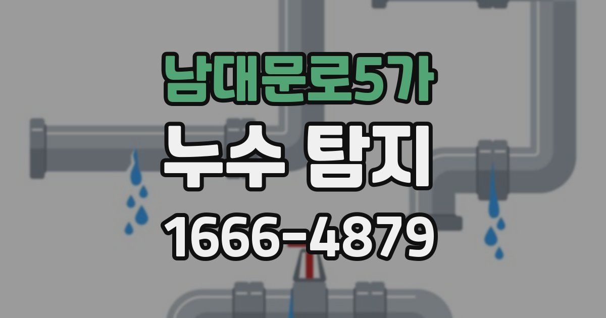 남대문로5가 누수 탐지