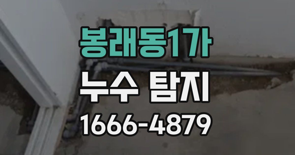 봉래동1가 누수 탐지