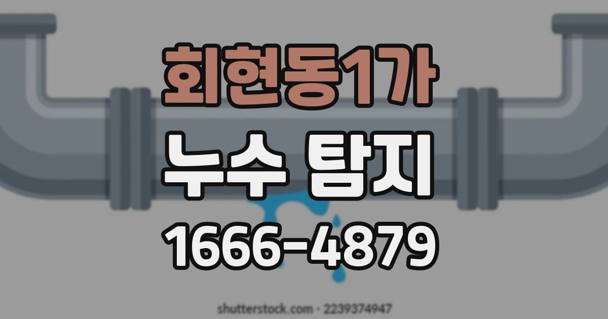 회현동1가 누수 탐지