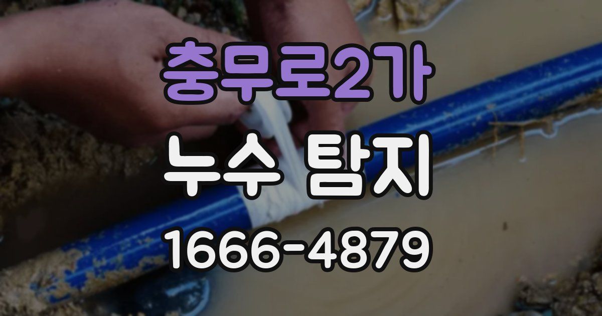 충무로2가 누수 탐지