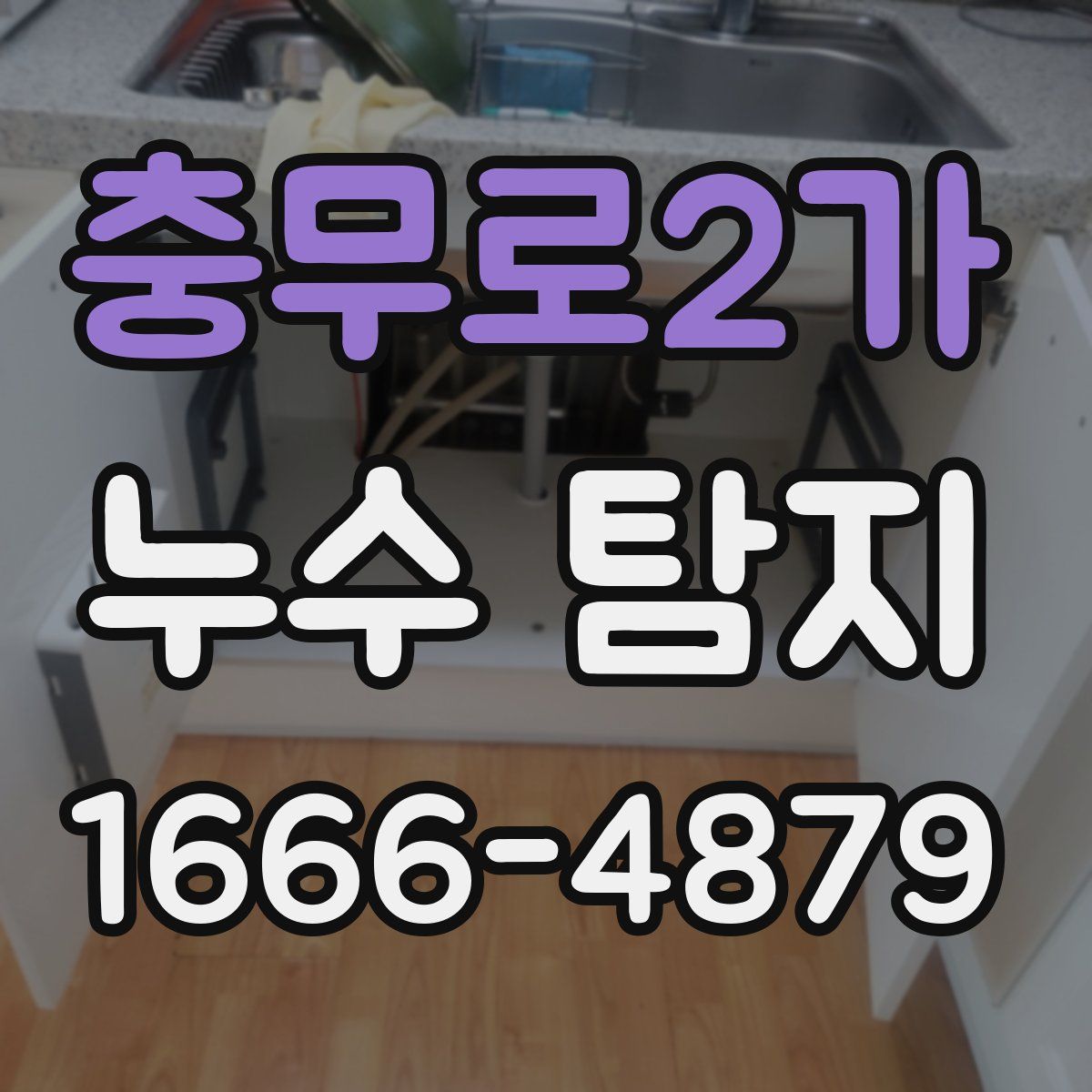 충무로2가 누수 탐지