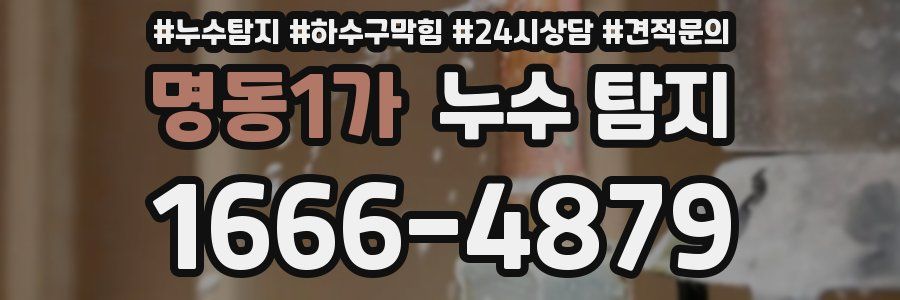 명동1가 누수 탐지