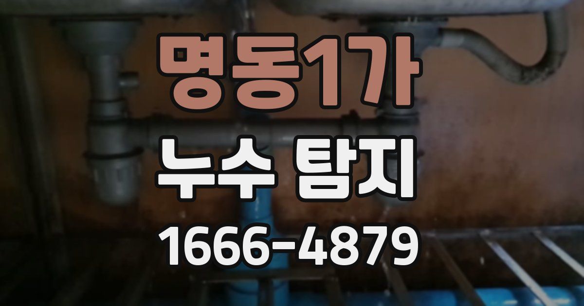 명동1가 누수 탐지