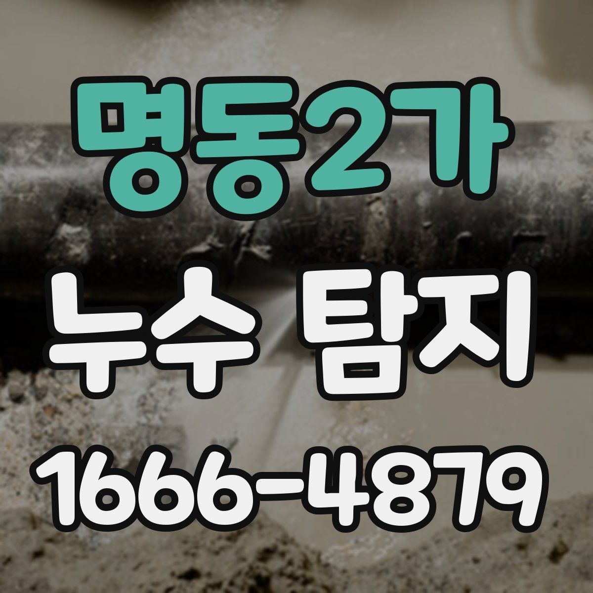 명동2가 누수 탐지