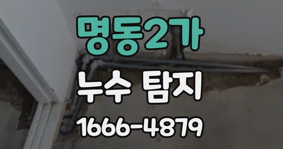 명동2가 누수 탐지