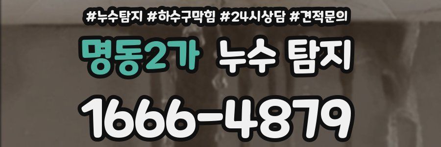명동2가 누수 탐지