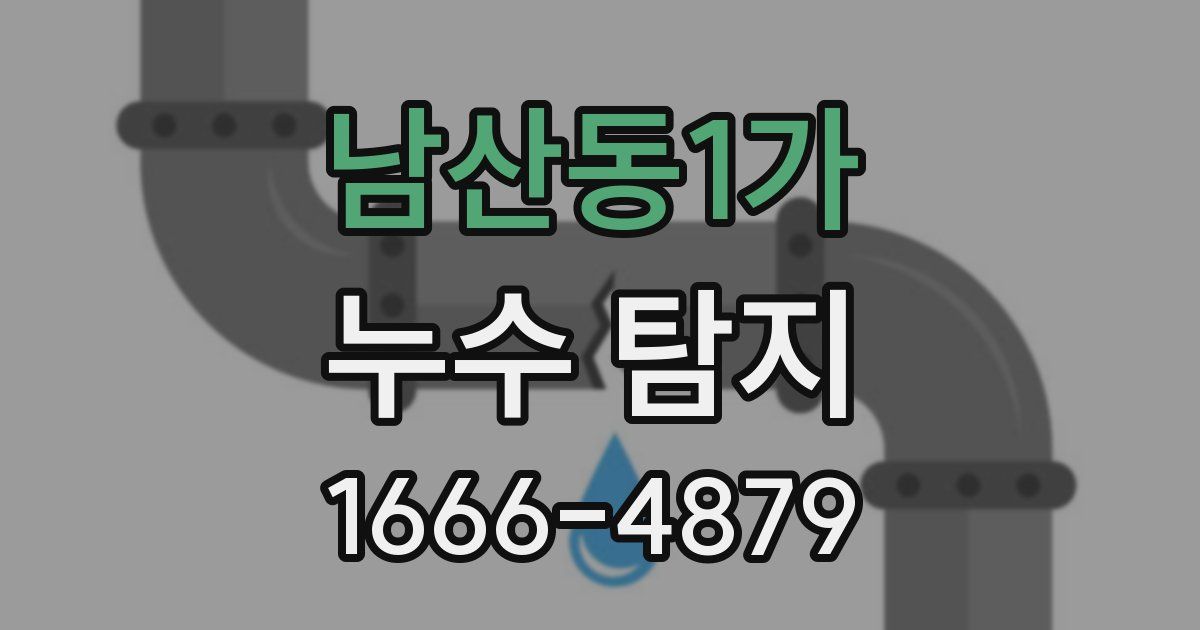 남산동1가 누수 탐지