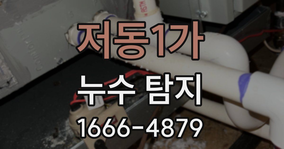 저동1가 누수 탐지