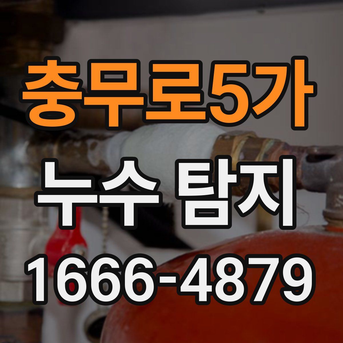 충무로5가 누수 탐지