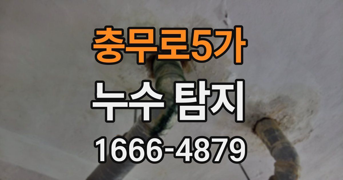충무로5가 누수 탐지