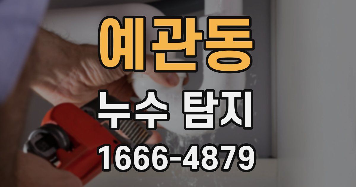 예관동 누수 탐지