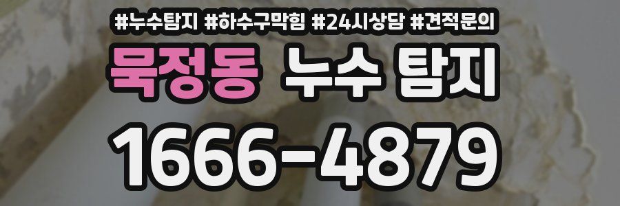 묵정동 누수 탐지