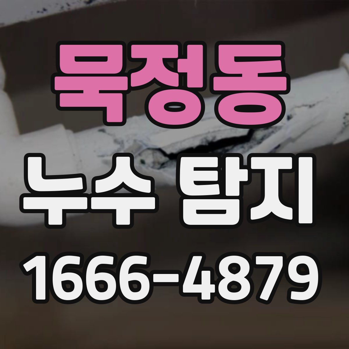 묵정동 누수 탐지