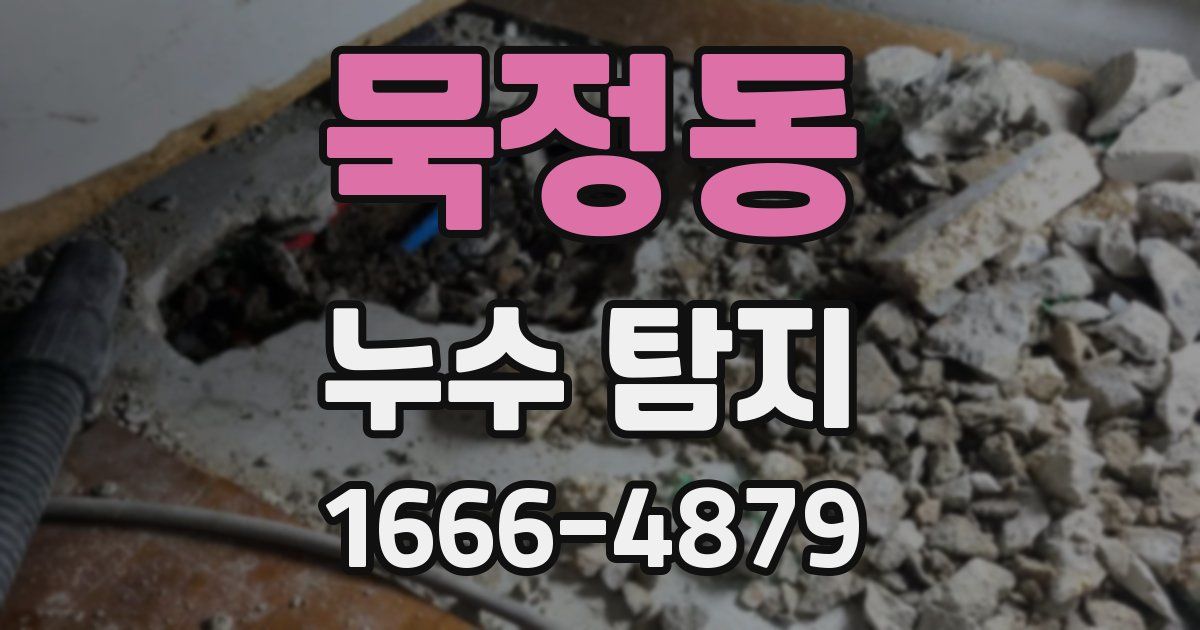 묵정동 누수 탐지